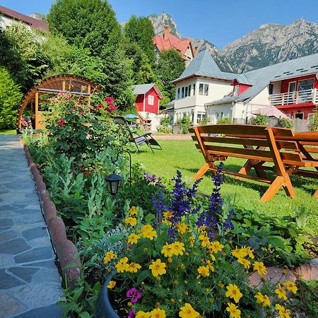 Casa Turta Dulce Hotel Buşteni Buitenkant foto
