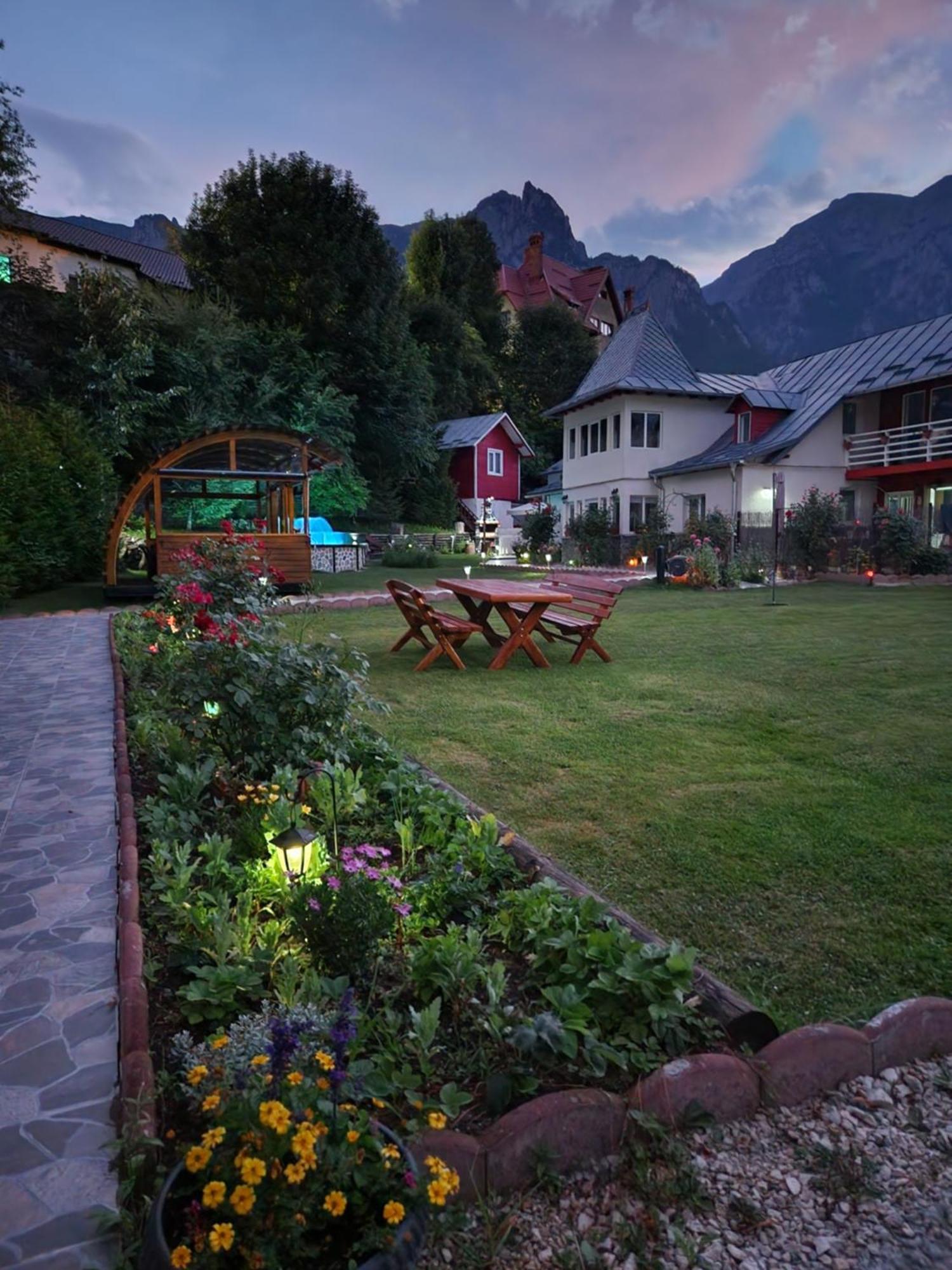 Casa Turta Dulce Hotel Buşteni Buitenkant foto