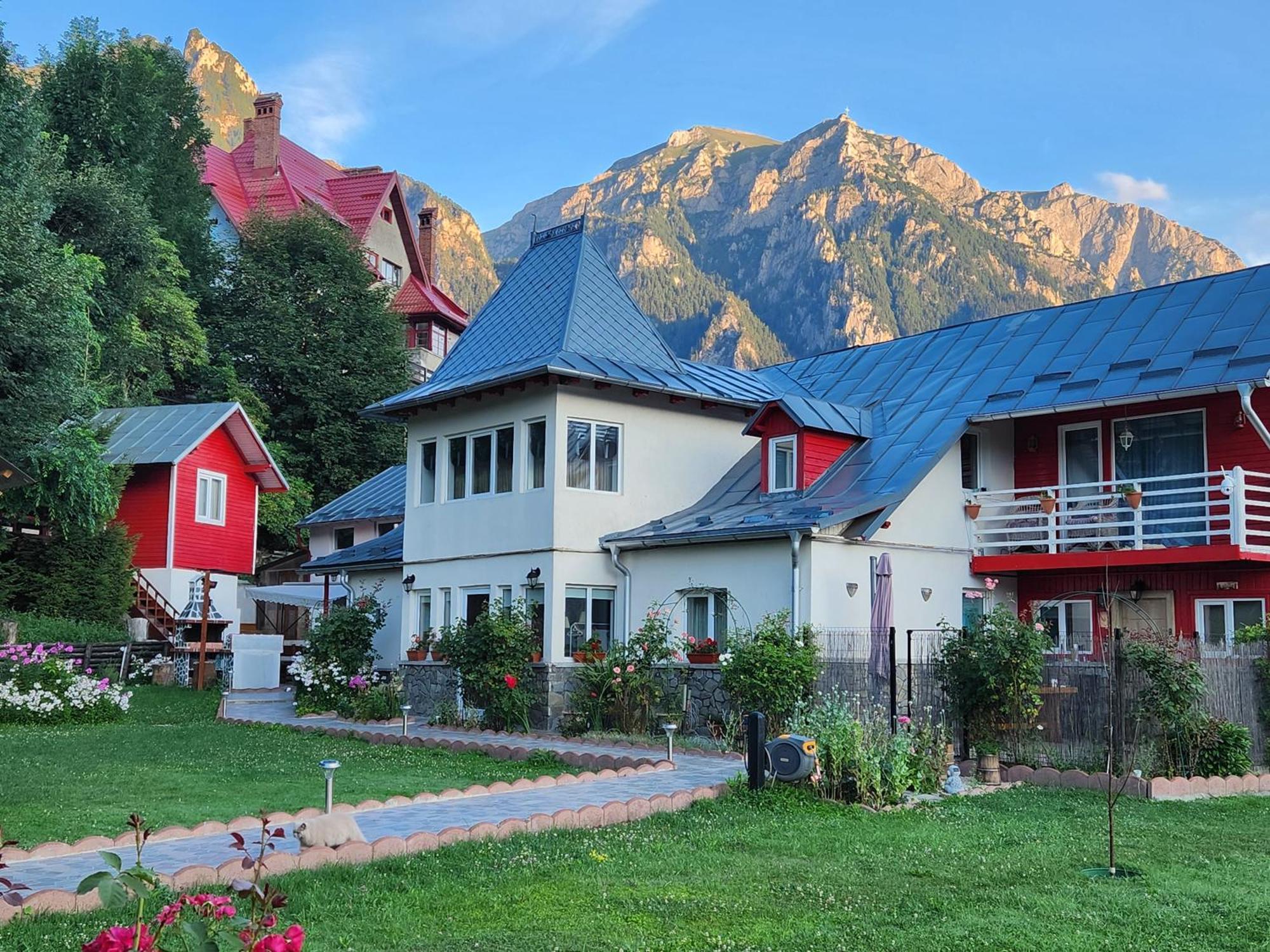 Casa Turta Dulce Hotel Buşteni Buitenkant foto